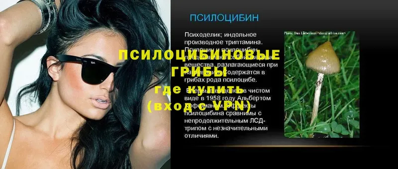 МЕГА ссылки  Изобильный  Галлюциногенные грибы прущие грибы 